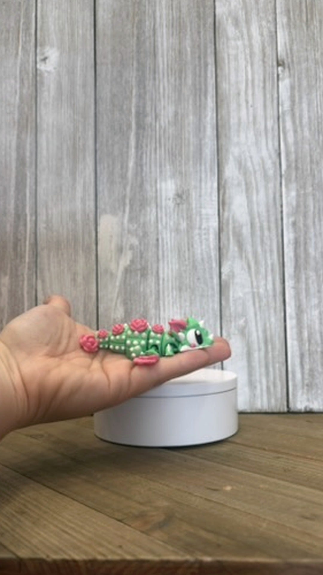 Cactus Blossom Dragon Wiggly Pal - 3D Printed Articulated Fidget Toy