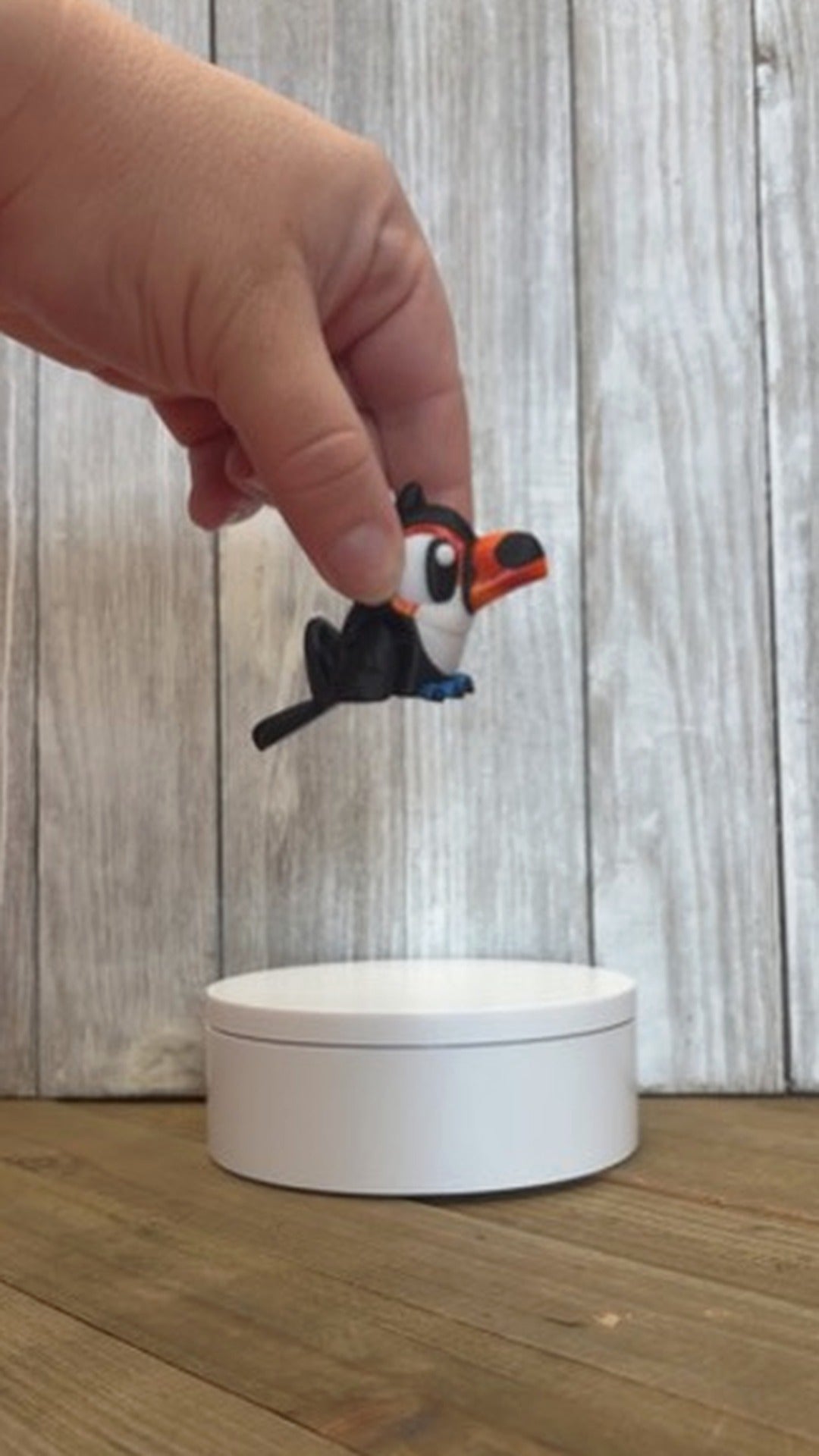 Toucan Wiggly Pal - 3D Printed Articulated Fidget Toy