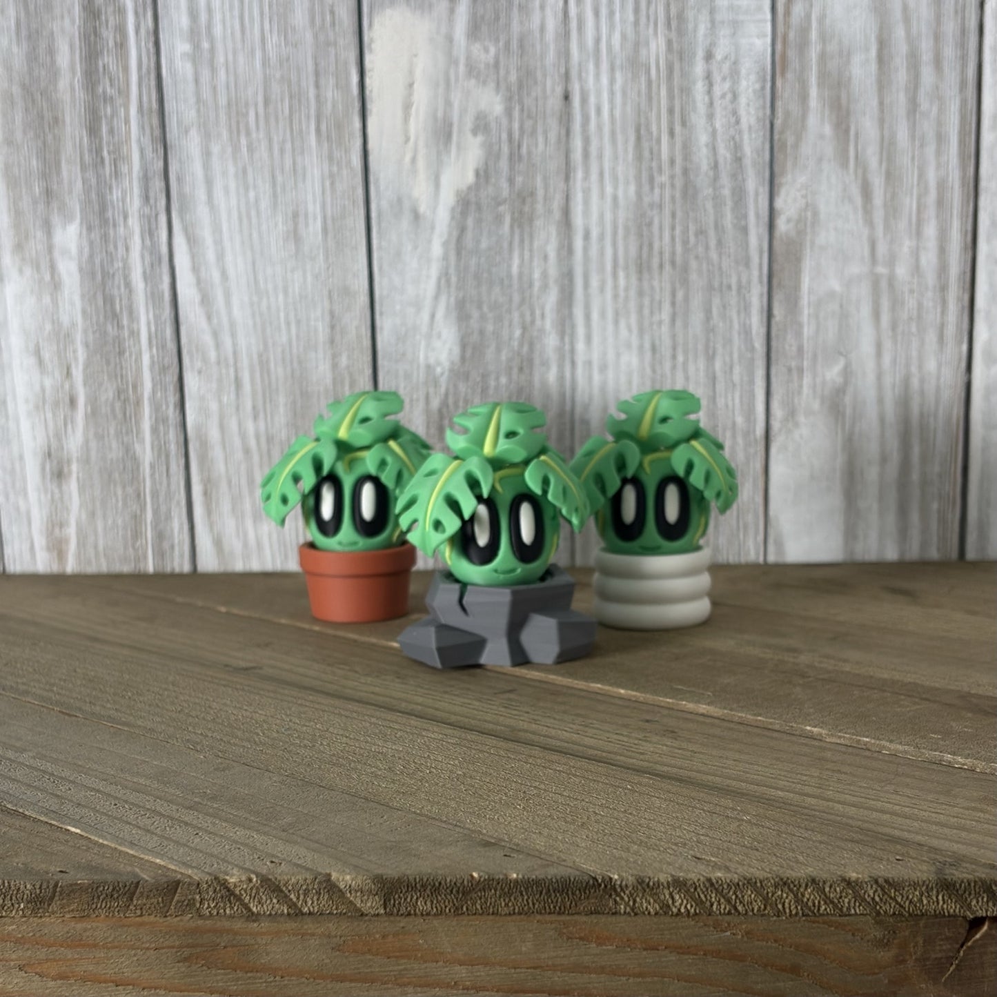 Monstera Garden Pal