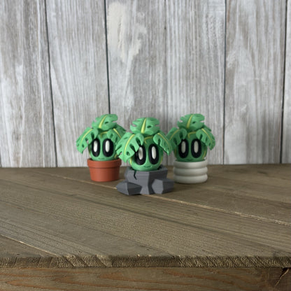 Monstera Garden Pal
