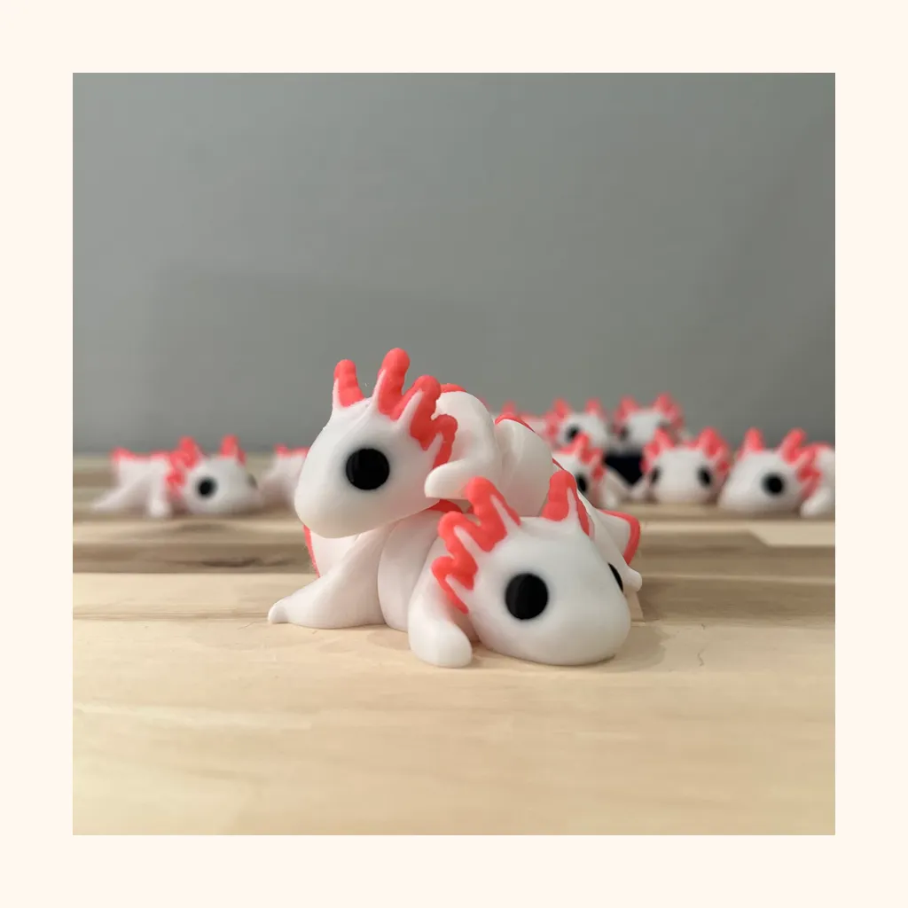 Axolotl — photo 5