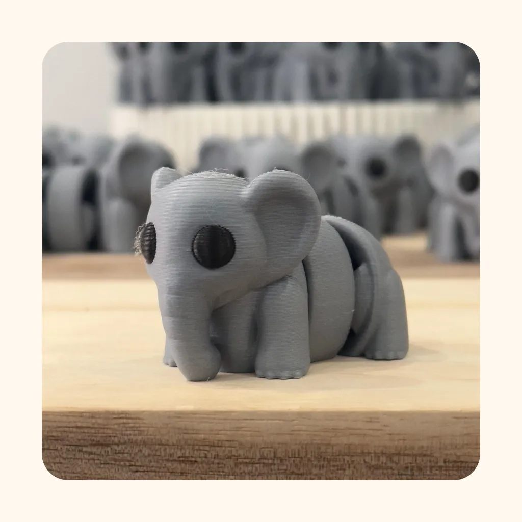 Baby Elephant — photo 3
