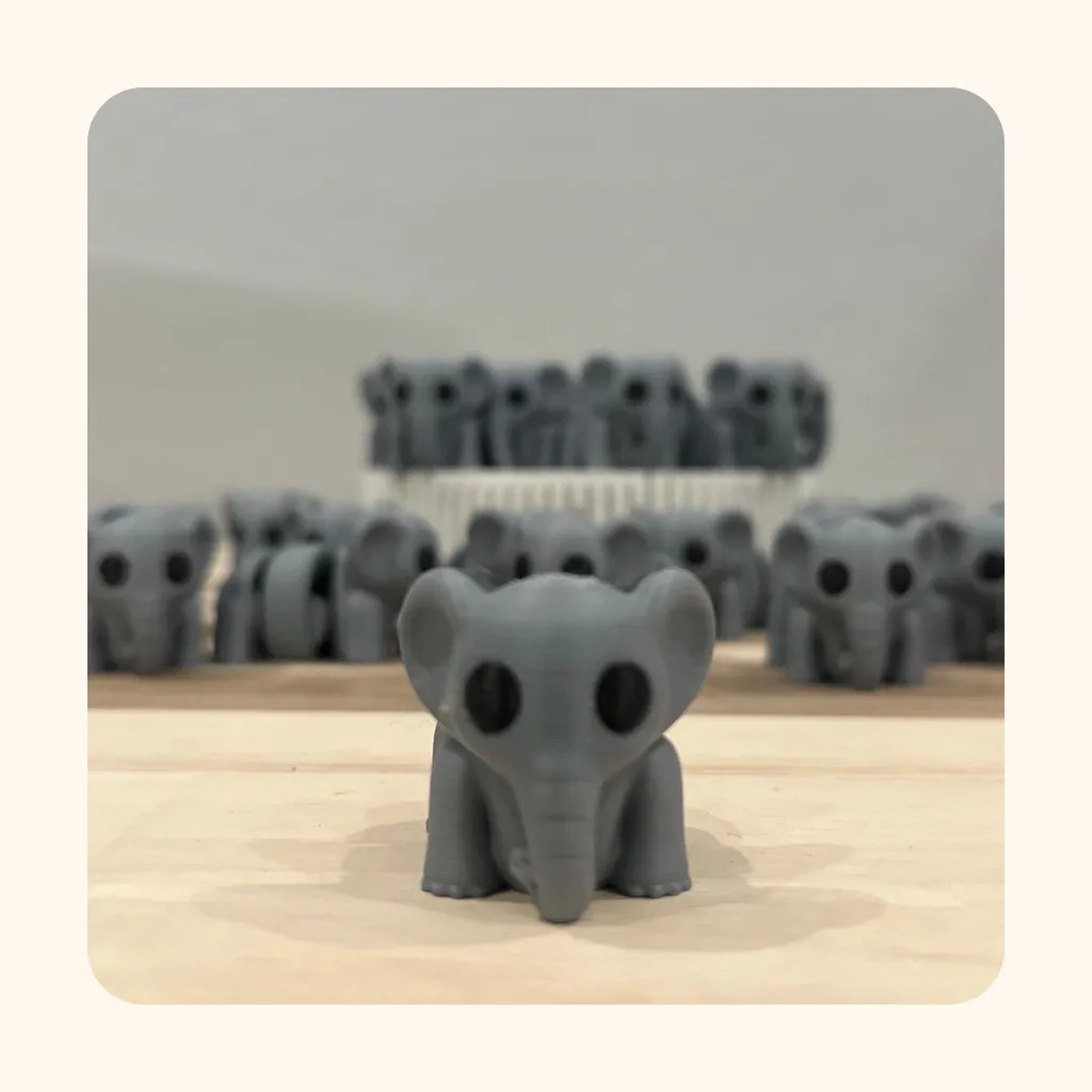 Baby Elephant — photo 4
