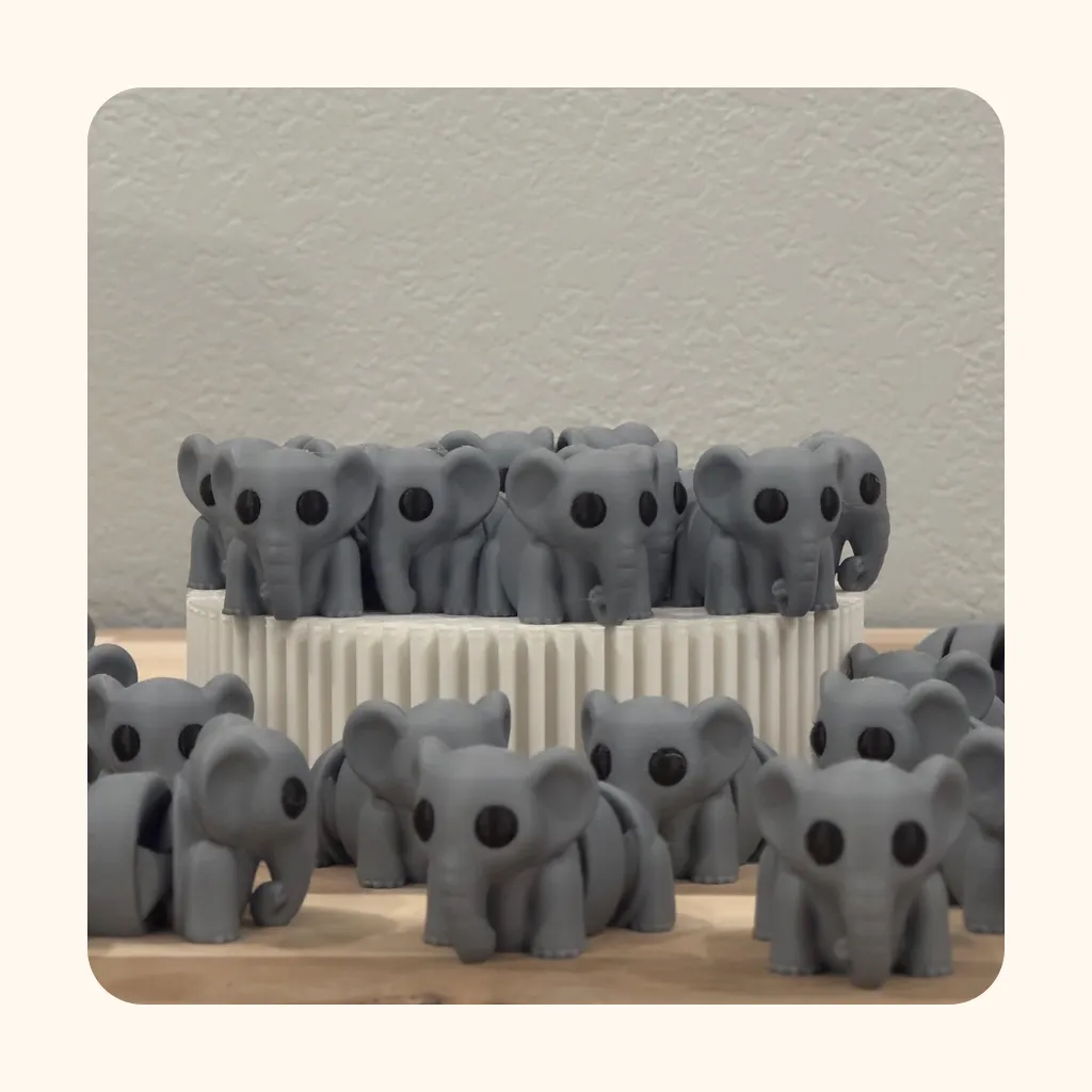 Baby Elephant — photo 5