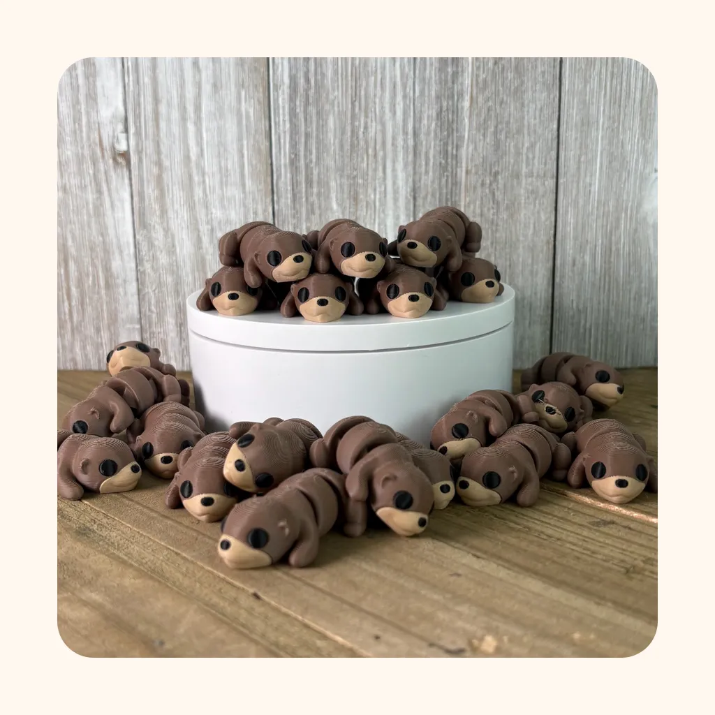 Baby Otter β photo 2