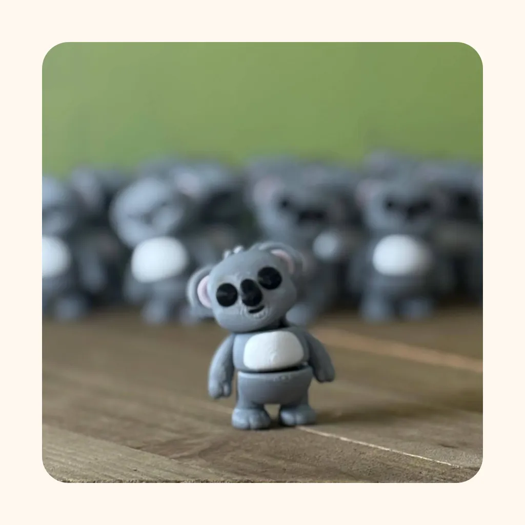 Koala — photo 1