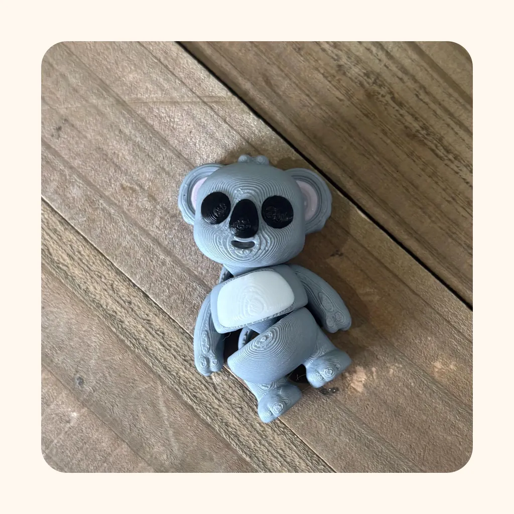 Koala — photo 4