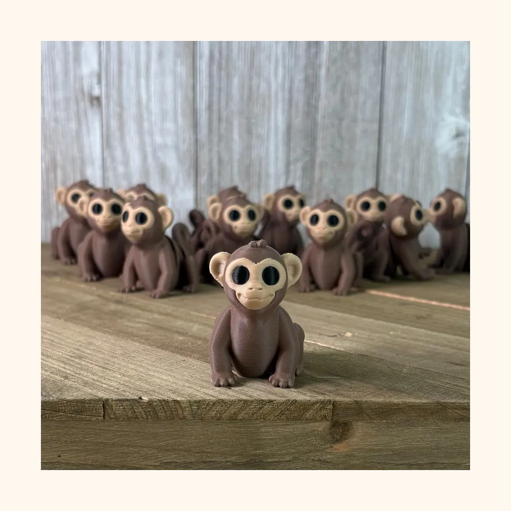 Monkey — photo 4