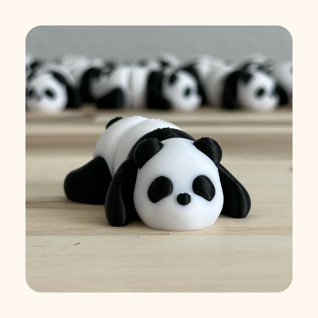 Panda — photo 1